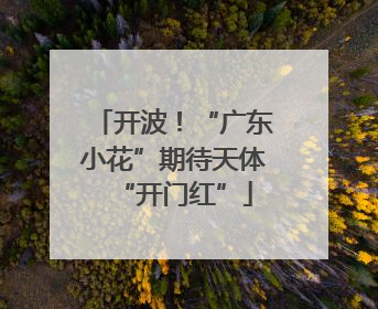 开波！“广东小花”期待天体“开门红”